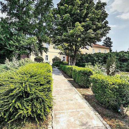 Misefa Kastely Bed and Breakfast Εξωτερικό φωτογραφία
